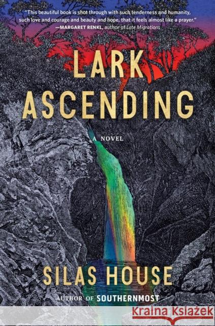 Lark Ascending Silas House 9781643751597 Algonquin Books - książka