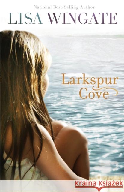 Larkspur Cove Lisa Wingate 9780764208218 Bethany House Publishers - książka