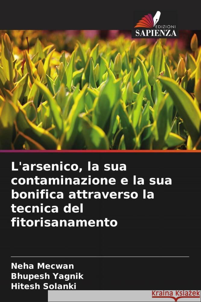 L'arsenico, la sua contaminazione e la sua bonifica attraverso la tecnica del fitorisanamento Mecwan, Neha, Yagnik, Bhupesh, Solanki, Hitesh 9786205010648 Edizioni Sapienza - książka