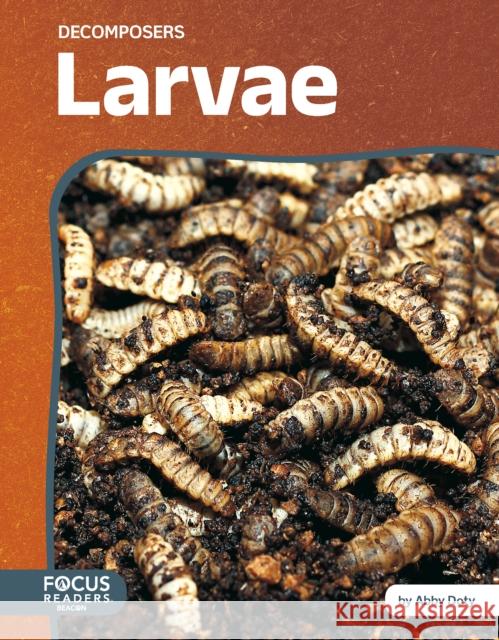 Larvae Abby Doty 9798889983996 North Star Editions - książka