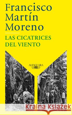 Las cicatrices del viento / The Scars of the Wind Martín Moreno, Francisco 9798890986832 Prh Grupo Editorial - książka