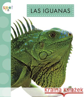 Las Iguanas Alissa Thielges 9781645498315 Amicus Ink - książka