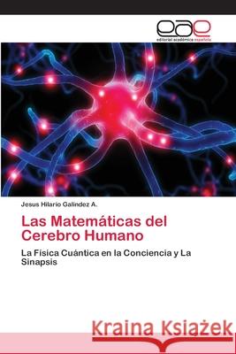 Las Matemáticas del Cerebro Humano Galindez a., Jesus Hilario 9783659081521 Editorial Académica Española - książka