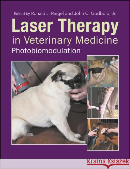 Laser Therapy in Veterinary Medicine: Photobiomodulation Riegel, Ronald J. 9781119220114 John Wiley & Sons - książka