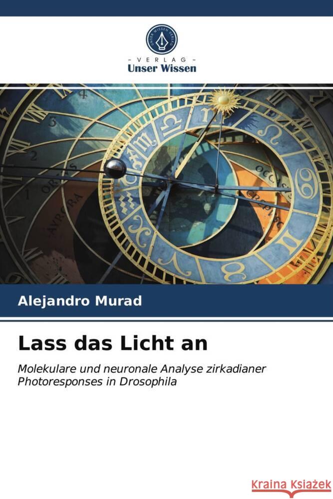 Lass das Licht an Murad, Alejandro 9786203514216 Verlag Unser Wissen - książka