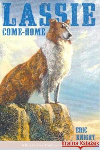 Lassie Come-Home Eric Knight Marguerite Kirmse 9780312371319 Square Fish - książka