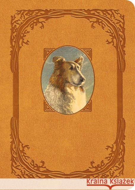 Lassie Come-Home: Collector's Edition Eric Knight Marguerite Kirmse 9781250263148 Square Fish - książka