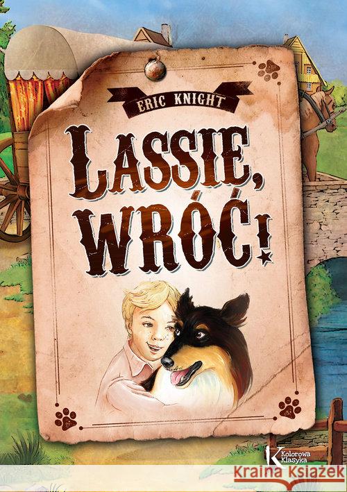 Lassie, wróć! Kolor TW Greg Knight Eric 9788375175721 Greg - książka