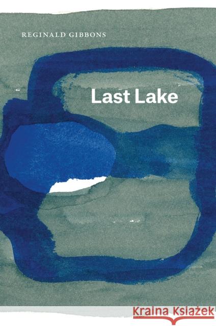 Last Lake Reginald Gibbons 9780226417455 University of Chicago Press - książka