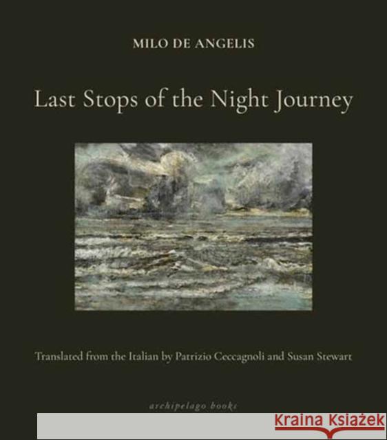 Last Stops of the Night Journey Susan Stewart 9781962770637 Archipelago Books - książka