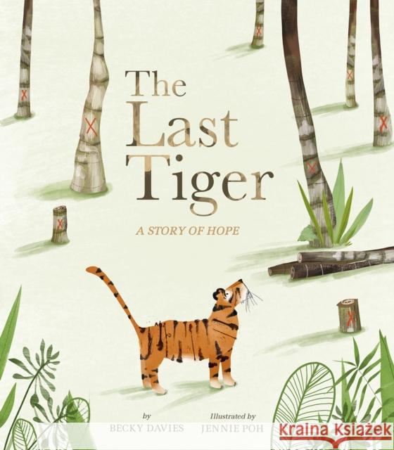 Last Tiger Becky Davies 9781680102727 Tiger Tales. - książka