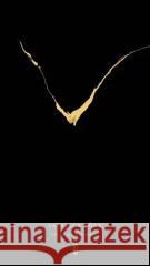 Latająca góra Christoph Ransmayr 9788384420027 PIW - książka