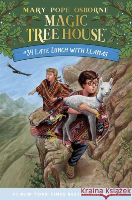 Late Lunch with Llamas Mary Pope Osborne Ag Ford 9780525648406 Random House USA Inc - książka