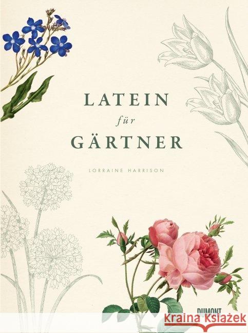 Latein für Gärtner : Über 3.000 botanische Begriffe erklärt und erforscht Harrison, Lorraine 9783832194741 DuMont Buchverlag - książka