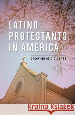 Latino Protestants in America: Growing and Diverse Mark T. Mulder Aida I. Ramos 9781442256545 Rowman & Littlefield Publishers - książka