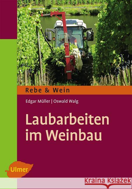 Laubarbeiten im Weinbau Müller, Edgar; Walg, Oswald 9783800178667 Ulmer (Eugen) - książka