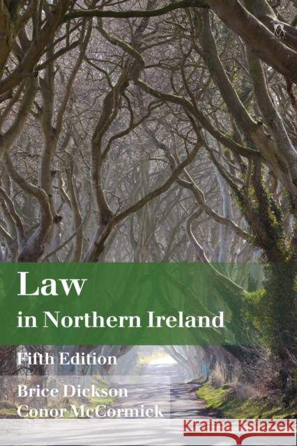 Law in Northern Ireland Conor (Queen’s University, Belfast, UK) McCormick 9781509989652 Bloomsbury Publishing PLC - książka
