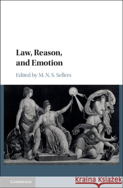Law, Reason, and Emotion Mortimer Sellers 9781108420761 Cambridge University Press - książka