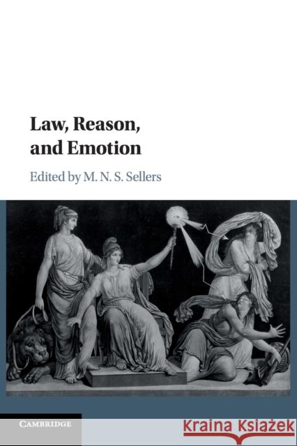 Law, Reason, and Emotion M. N. S. Sellers 9781108430852 Cambridge University Press - książka