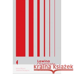 Lawina i kamienie BIKONT ANNA, SZCZĘSNA JOANNA 9788381912228 CZARNE - książka