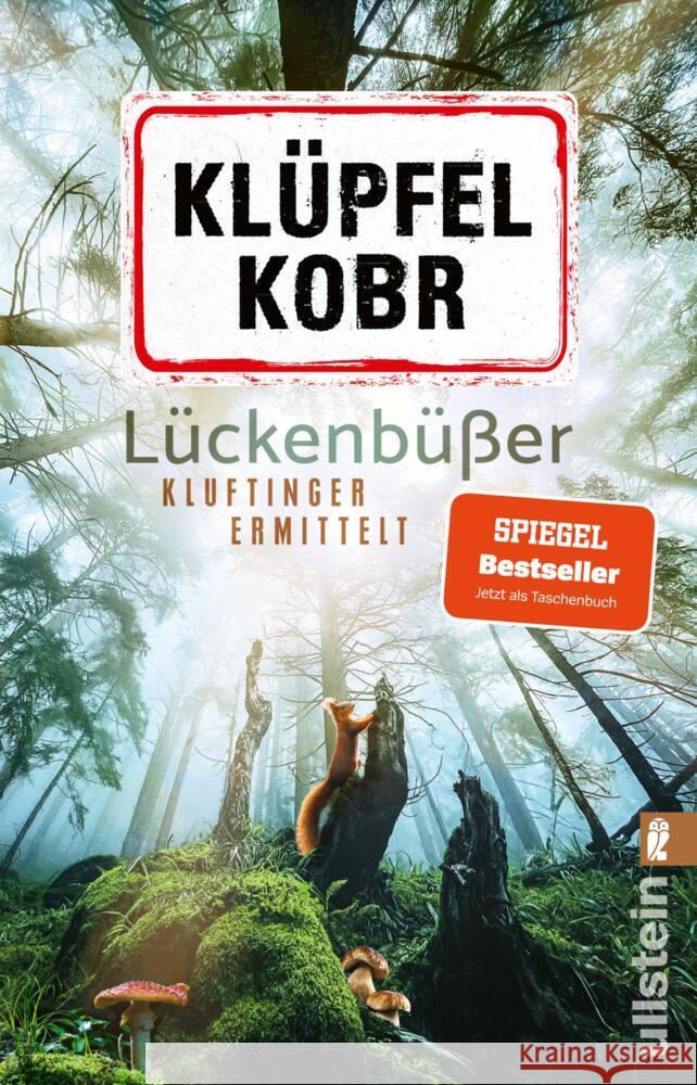 Lückenbüßer Klüpfel, Volker, Kobr, Michael 9783548073668 Ullstein TB - książka