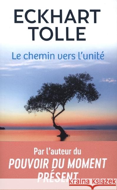 Le Chemin Vers l'Unite Tolle, Eckhart 9782290373880 J'ai Lu - książka