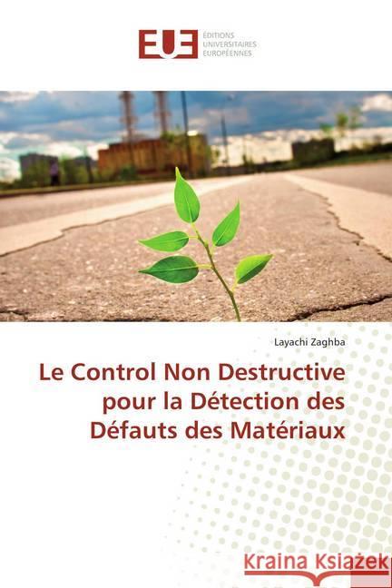 Le Control Non Destructive pour la Détection des Défauts des Matériaux Zaghba, Layachi 9786202264655 Éditions universitaires européennes - książka