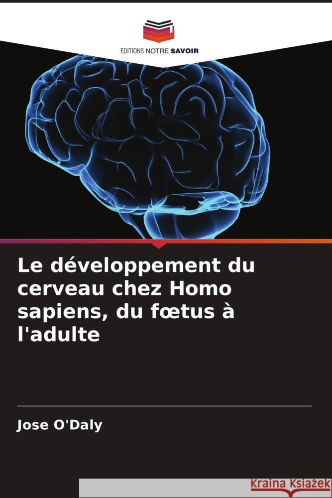 Le développement du cerveau chez Homo sapiens, du foetus à l'adulte O'Daly, Jose 9786204528243 Editions Notre Savoir - książka