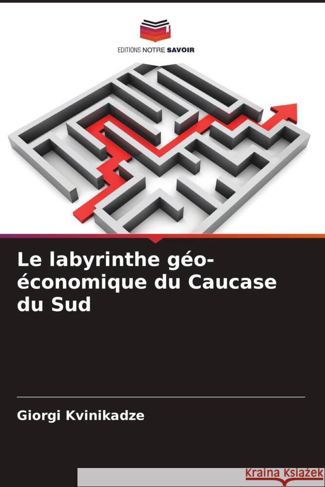 Le labyrinthe géo-économique du Caucase du Sud Kvinikadze, Giorgi 9786204595283 Editions Notre Savoir - książka