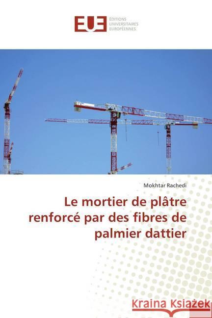 Le mortier de plâtre renforcé par des fibres de palmier dattier Rachedi, Mokhtar 9786202282765 Éditions universitaires européennes - książka