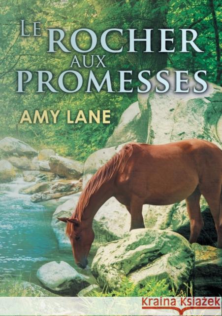 Le rocher aux promesses Lane, Amy 9781634767866 Dreamspinner Press - książka