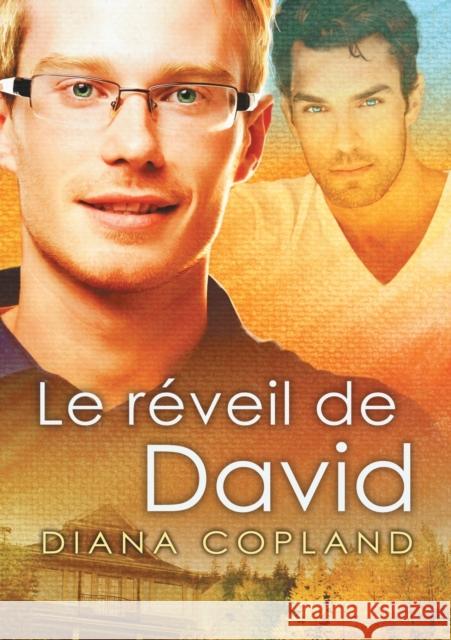 Le Réveil de David (Translation) Ambre, Marie a. 9781644051283 Dreamspinner Press - książka
