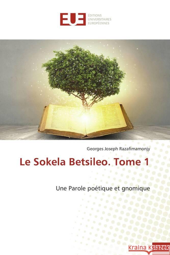 Le Sokela Betsileo. Tome 1 Razafimamonjy, Georges Joseph 9786203444889 Éditions universitaires européennes - książka