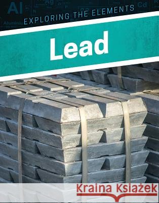 Lead Donna B. McKinney 9781978503663 Enslow Publishing - książka