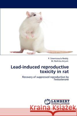 Lead-induced reproductive toxicity in rat Reddy, P. Sreenivasula 9783846546017 LAP Lambert Academic Publishing - książka