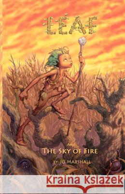 Leaf and the Sky of Fire: Twig Stories Jo Marshall D. W. Murray 9781456300920 Createspace - książka