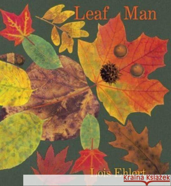 Leaf Man Board Book Lois Ehlert 9780063286726 HarperCollins Publishers Inc - książka