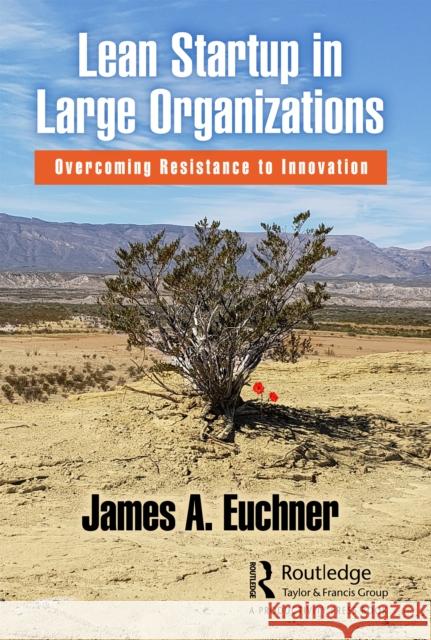 Lean Startup in Large Organizations: Overcoming Resistance to Innovation James A. Euchner Edward Bernstein 9781032200262 Productivity Press - książka