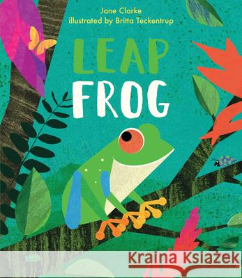 Leap Frog Jane Clarke Britta Teckentrup 9781536212051 Nosy Crow - książka