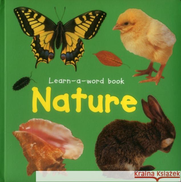 Learn-a-word Book: Nature Tuxworth Nicola 9781861474117 Armadillo - książka