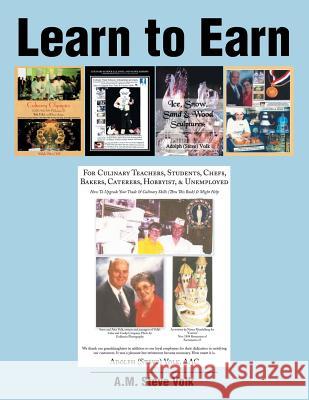 Learn to Earn A M Steve Volk 9781524621667 Authorhouse - książka