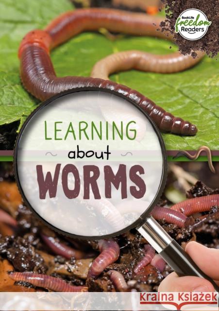 Learning about Worms Holly Duhig 9781801551403 BookLife Publishing - książka