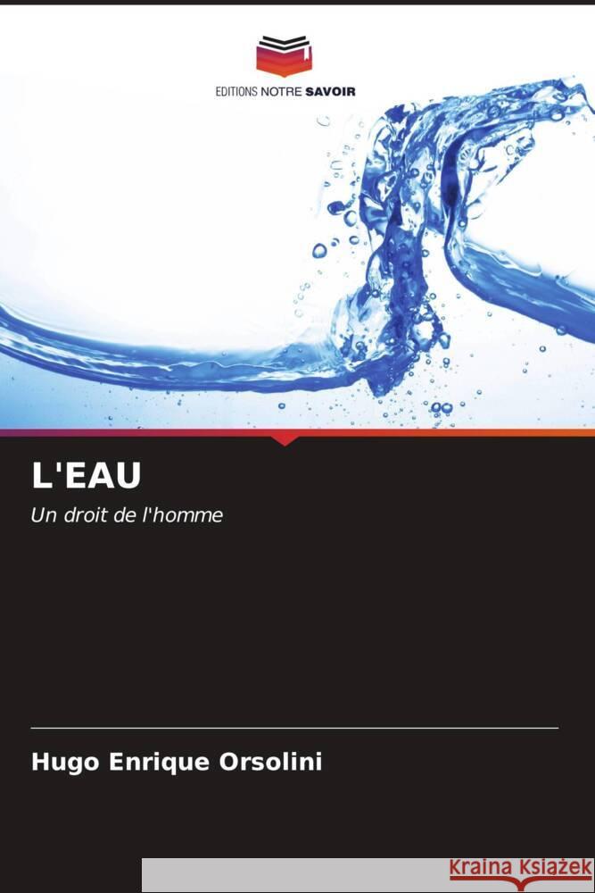 L'Eau Hugo Enrique Orsolini 9786206983613 Editions Notre Savoir - książka