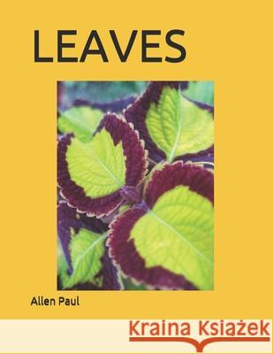 Leaves Allen Paul 9798452750703 Independently Published - książka