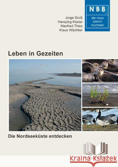 Leben in Gezeiten : Die Nordseeküste entdecken  9783894324353 VerlagsKG Wolf - książka