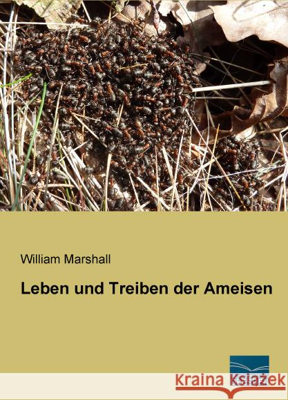 Leben und Treiben der Ameisen Marshall, William 9783956927188 Fachbuchverlag-Dresden - książka