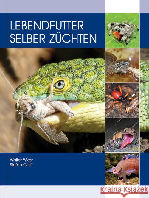 Lebendfutter selber züchten Wiest, Walter, Greff, Stefan 9783866595200 Natur und Tier-Verlag - książka