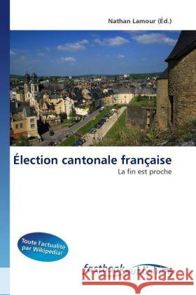 Élection cantonale française Lamour, Nathan 9786130115463 FastBook Publishing - książka