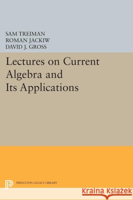 Lectures on Current Algebra and Its Applications Sam Treiman Roman Jackiw David J. Gross 9780691619828 Princeton University Press - książka