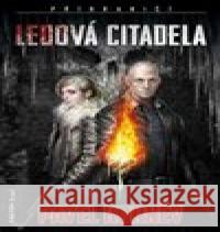 Ledová Citadela - Příhraničí 5 Pavel Korněv 9788075940070 Fantom Print - książka